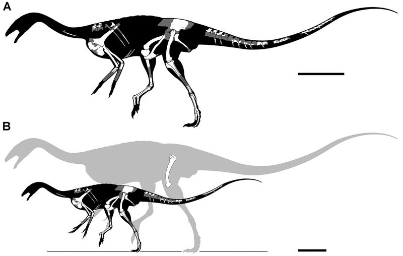 Deltadromeus — Autres saurischiens