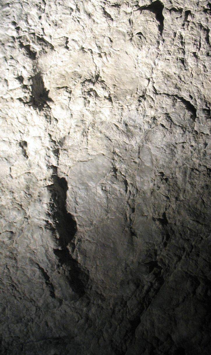 Deltapodus — Autres ornithischiens