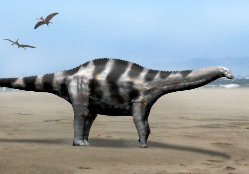 Demandasaurus — Autres saurischiens