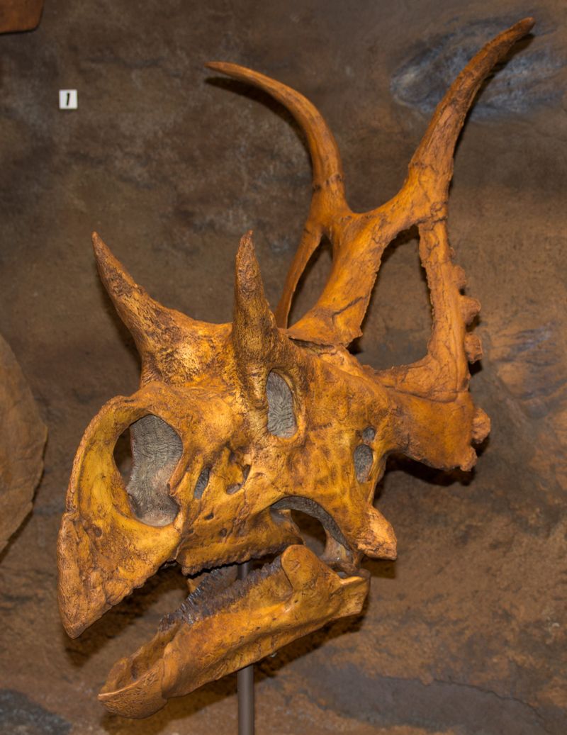 Diabloceratops — Autres ornithischiens