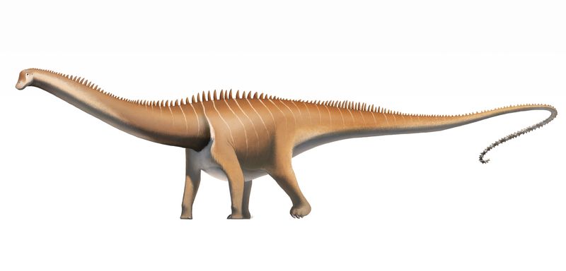 Diplodocus — Autres saurischiens