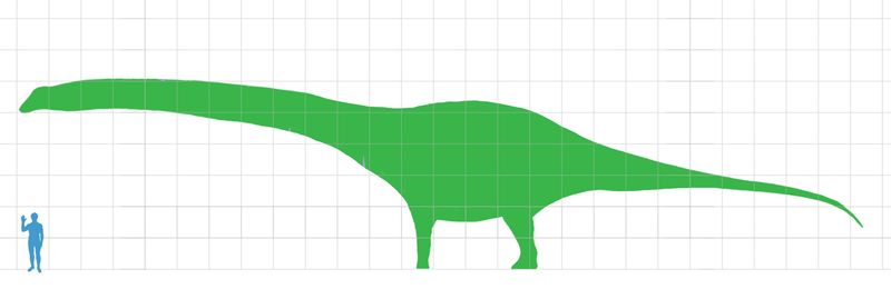 Dreadnoughtus — Autres saurischiens