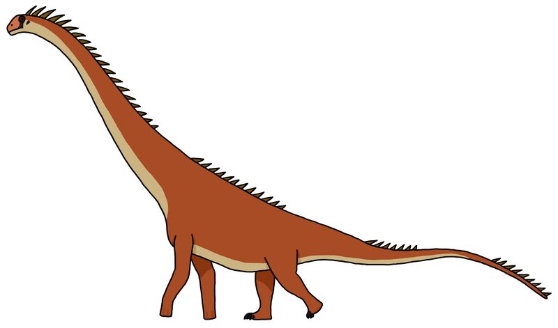 Drusilasaura — Autres saurischiens