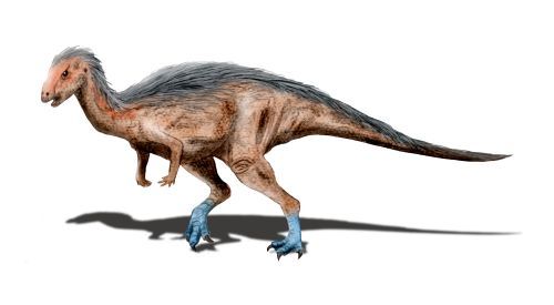 Dryosaurus — Autres ornithischiens