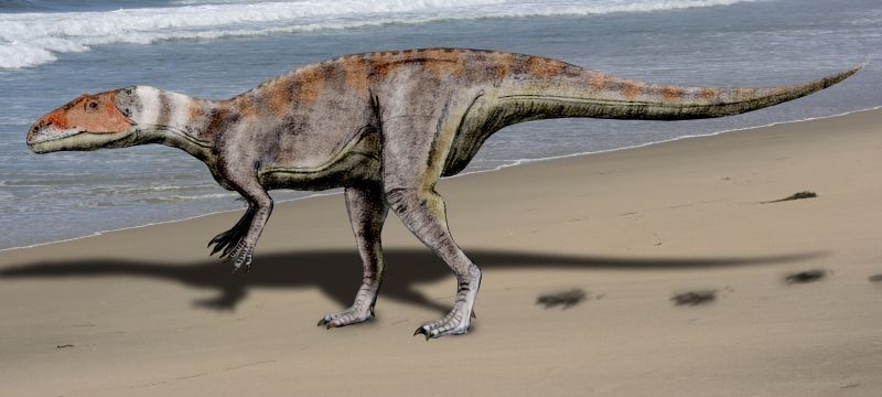 Dubreuillosaurus — Théropodes
