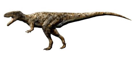 Duriavenator — Théropodes