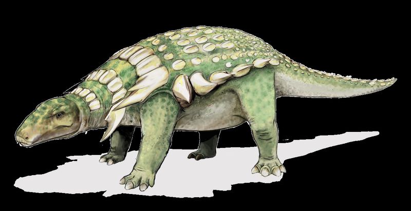 Edmontonia — Autres ornithischiens