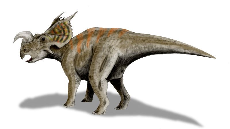 Einiosaurus — Autres ornithischiens