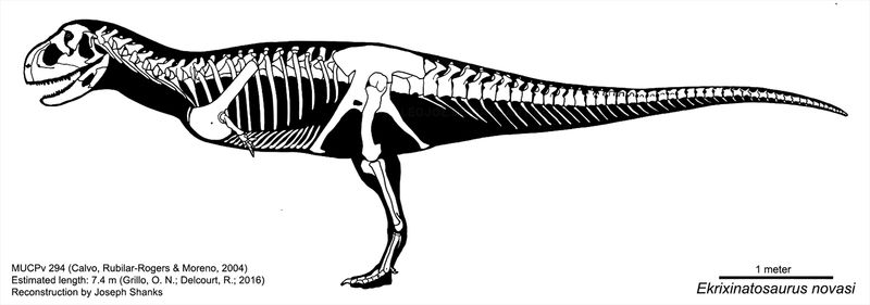 Ekrixinatosaurus — Théropodes