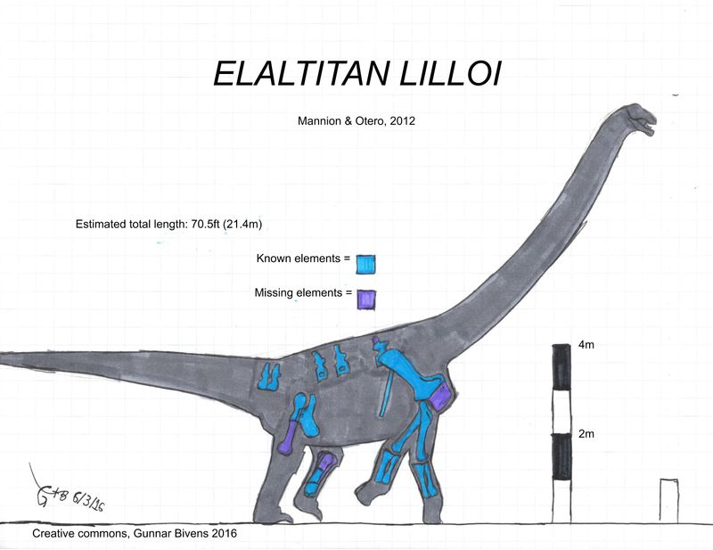 Elaltitan — Autres saurischiens