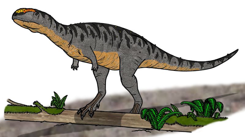 Eoabelisaurus — Théropodes