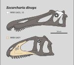 Eocarcharia — Théropodes