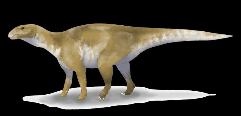Eolambia — Autres ornithischiens