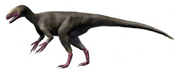 Eotyrannus — Théropodes