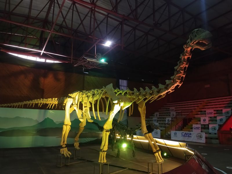 Epachthosaurus — Autres saurischiens