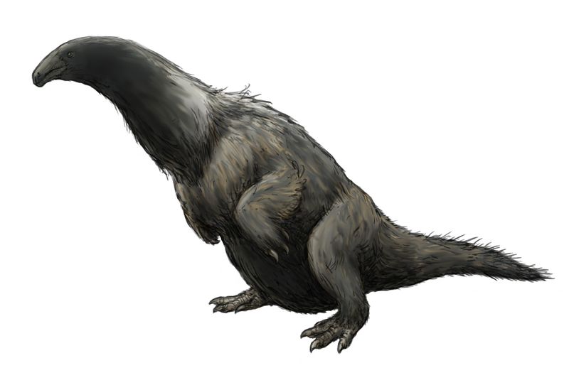 Erliansaurus — Théropodes