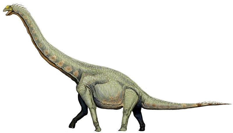 Euhelopus — Autres saurischiens