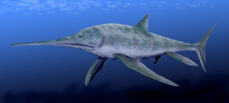 Eurhinosaurus — Reptiles marins