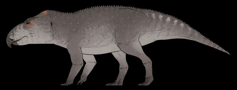 Ferenceratops shqiperorum — Autres ornithischiens