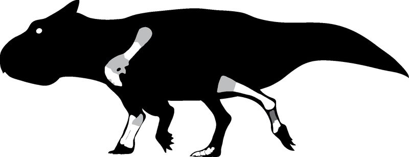 Ferrisaurus — Autres ornithischiens