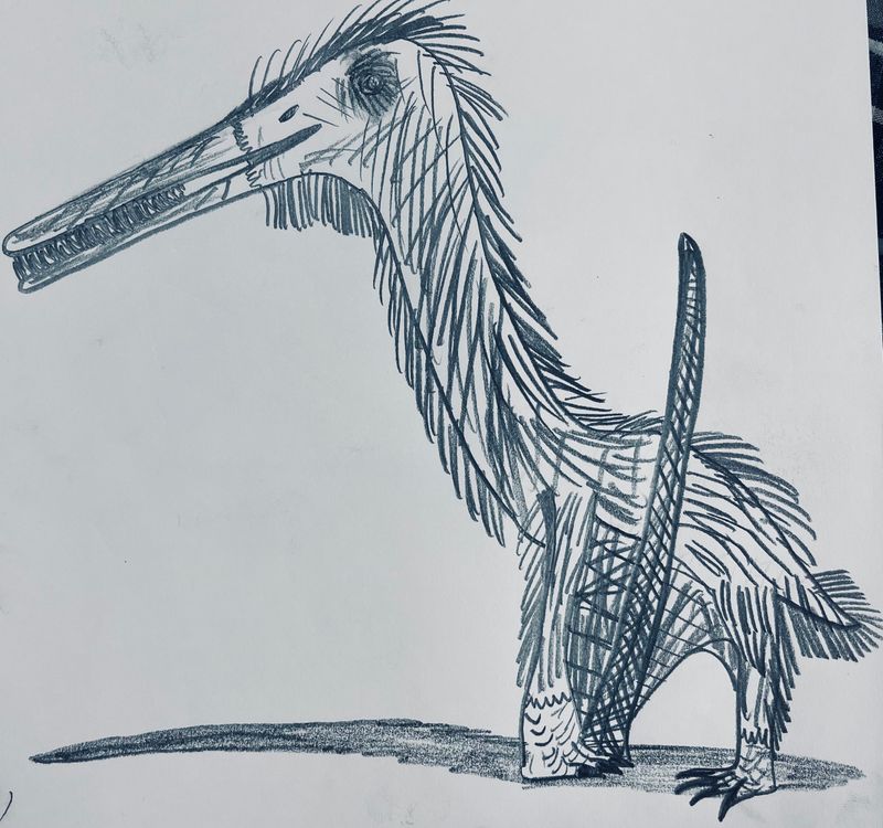 Forfexopterus — Ptérosaures