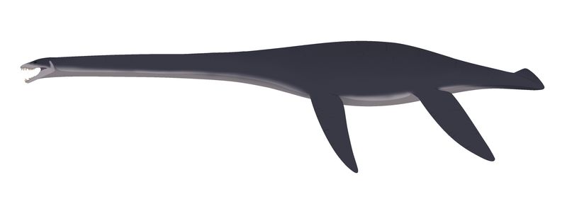 Fresnosaurus — Reptiles marins