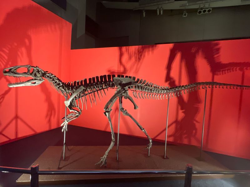 Fukuiraptor — Théropodes