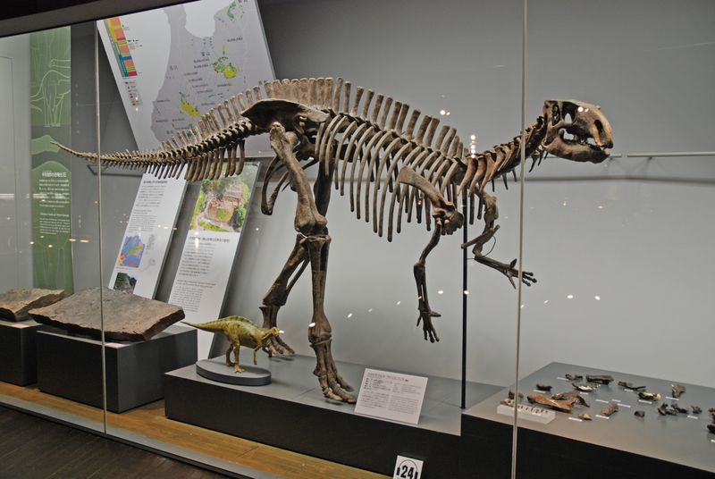 Fukuisaurus — Autres ornithischiens