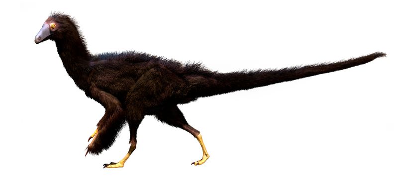 Fukuivenator — Théropodes