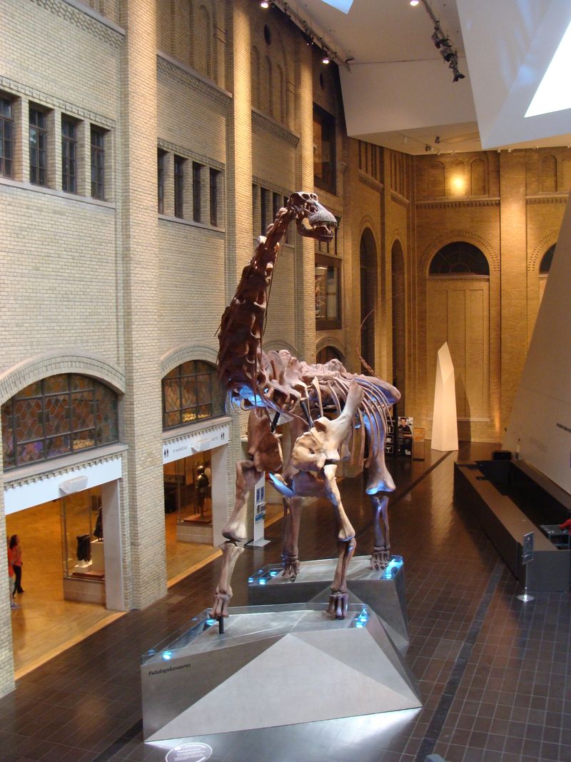 Futalognkosaurus — Autres saurischiens
