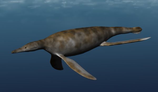 Gallardosaurus — Reptiles marins