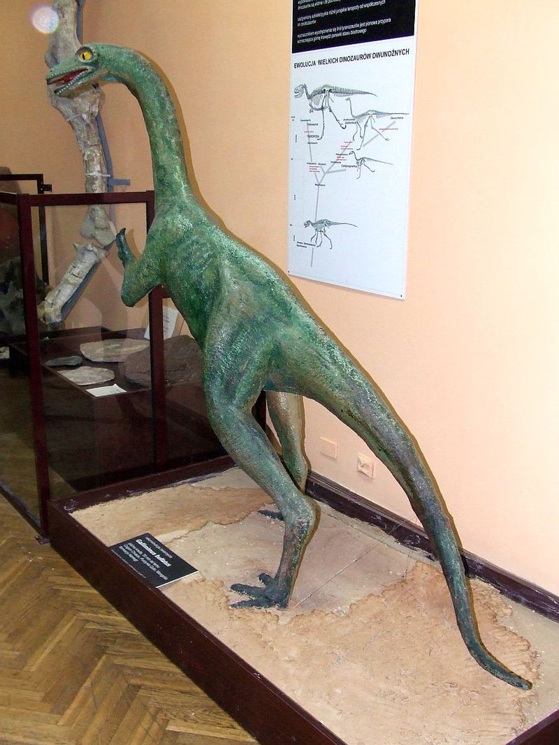 Gallimimus — Théropodes