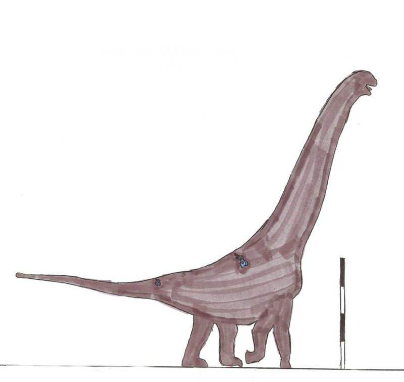 Gannansaurus — Autres saurischiens