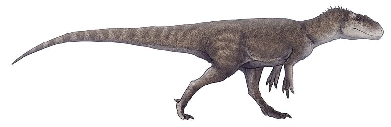 Gasosaurus — Théropodes