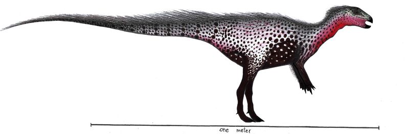 Gideonmantellia — Autres ornithischiens