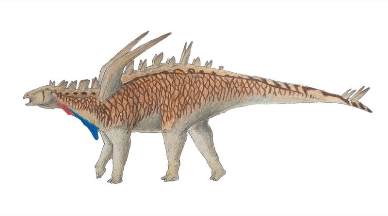 Gigantspinosaurus — Autres ornithischiens