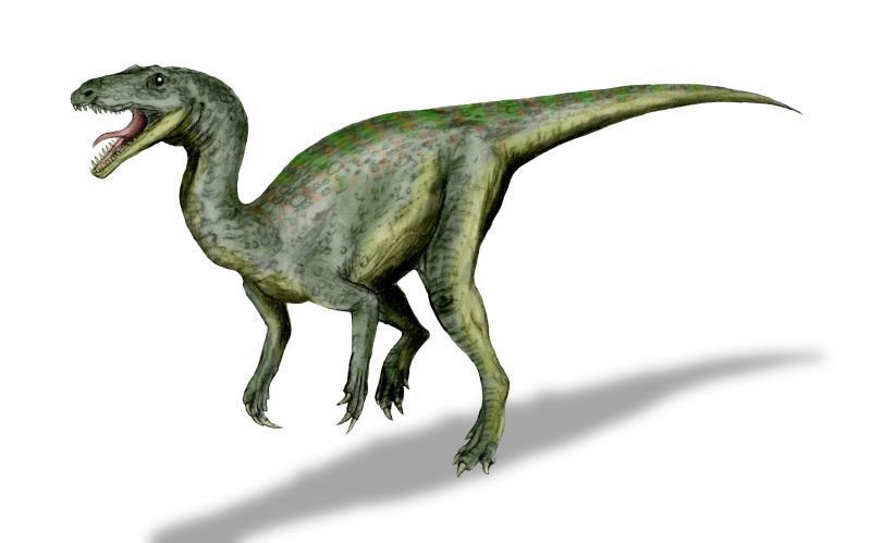 Gojirasaurus — Théropodes