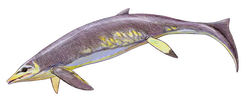 Guanlingsaurus — Reptiles marins