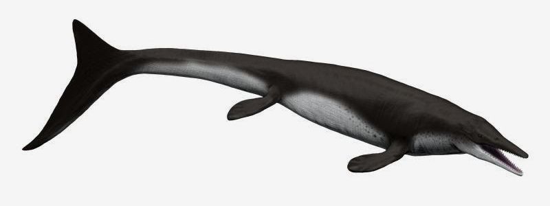 Tylosaurus — Reptiles marins