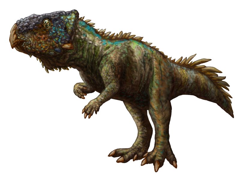 Helioceratops — Autres ornithischiens
