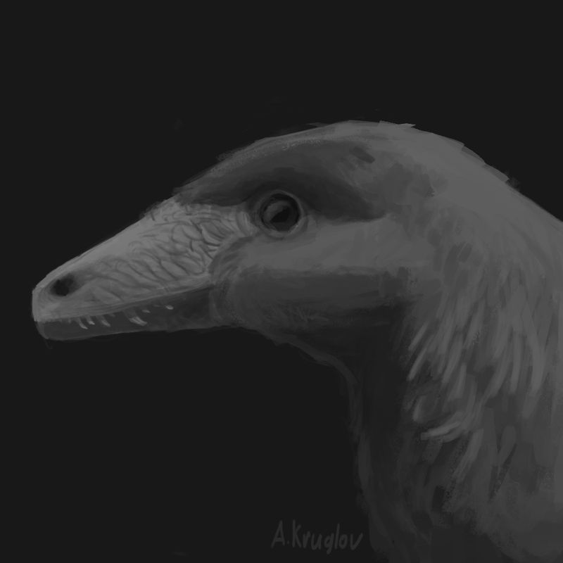 Hesperornithoides — Théropodes