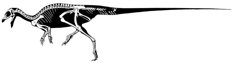 Hexinlusaurus — Autres ornithischiens