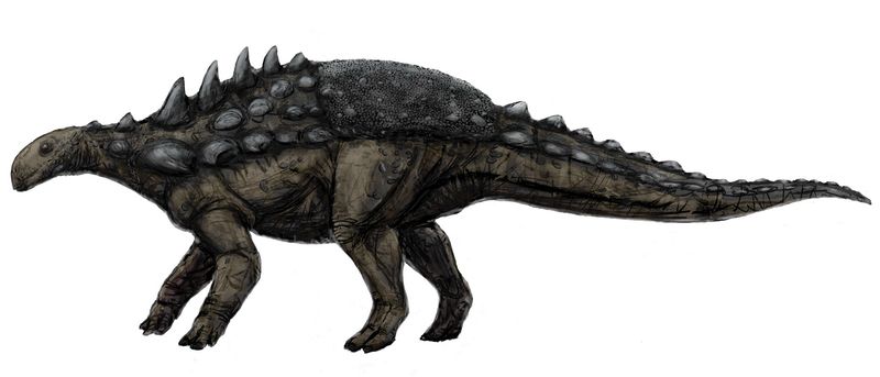 Polacanthus — Autres ornithischiens