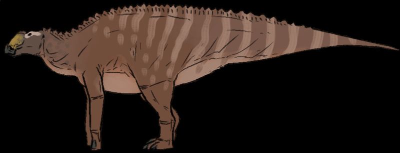 Huallasaurus — Autres ornithischiens