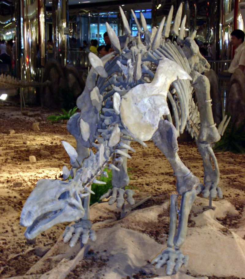 Huayangosaurus — Autres ornithischiens