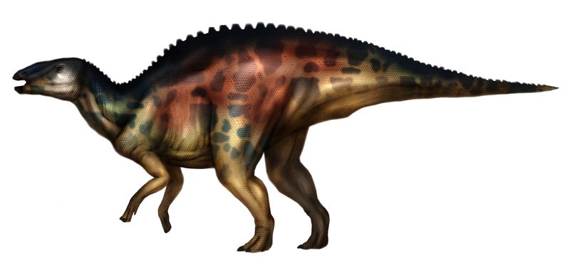 Huehuecanauhtlus — Autres ornithischiens