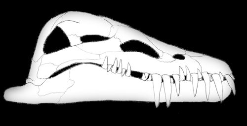 Hydrotherosaurus — Reptiles marins