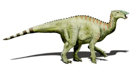Hypselospinus — Autres ornithischiens