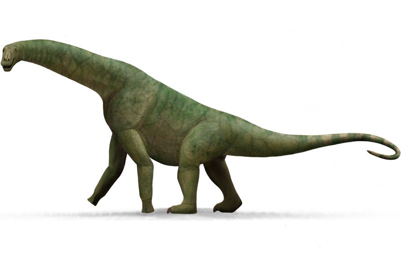 Isisaurus — Autres saurischiens