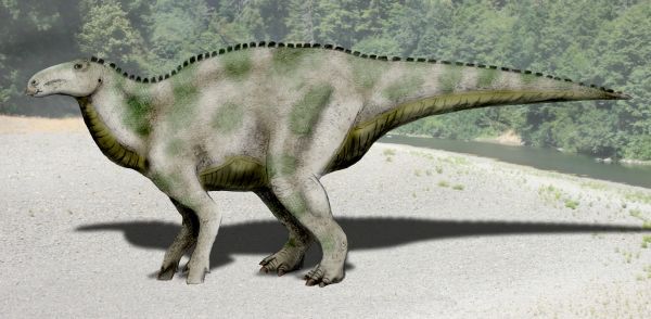 Jeyawati — Autres ornithischiens